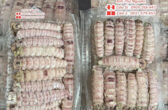 [🆕🇻🇳] ANH THƯ FOOD – Thịt Càng Cua / Thịt Ghẹ -Tôm Tích 🍔 Top1Food  🍜 .                 Nõn Tôm Tích – Nõn Bề Bề
Hàng Được Bóc Sạch Chân – Bóc Sạch Bụng Dưới
.                   Hàng Mới Mỗi Ngày
Thợ Nhà Em Thư Làm Hàng Li , shares-0✔️ , likes-0❤️️ , date-2025-02-13 20:16:47🇻🇳🇻🇳🇻🇳📰🆕