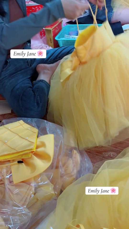 [🆕🇻🇳] Emily Jane – Váy đầm công chúa thiết kế cho bé 🧑‍🧒❤️️👶⭐️  , shares-0✔️ , likes-0❤️️ , date-2025-02-19 03:00:46🇻🇳🇻🇳🇻🇳📰🆕