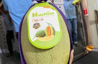 [🆕🇻🇳] Vườn Dâu Nhà Mớm – Based in Saigon 🍔 Top1Food  🍜 Dưa lưới em về thêm ạ
160k/1 trái ạ
, shares-0✔️ , likes-0❤️️ , date-2025-02-11 19:27:10🇻🇳🇻🇳🇻🇳📰🆕