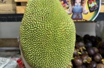 [🆕🇻🇳] Hương Thảo food and Fruits – Cửa hàng thực phẩm tự nhiên 🍔 Top1Food  🍜  MIT TỐ NỮ LAI HẠT LÉP ĐẦU MÙA….
– TRÁI 60K/KY ( hàng đầu mùa múi chưa đều nhà e chỉ bao trên 10 múi )
– LỘT SẴN 170K/HOP 8 – 900G ( này tính ky nne6 ch , shares-0✔️ , likes-0❤️️ , date-2025-02-13 18:49:47🇻🇳🇻🇳🇻🇳📰🆕