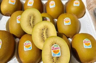 [🆕🇻🇳] Hoa Quả 4Mùa – Cửa hàng rau quả 🍔 Top1Food  🍜  #KIWI_PHÁP NGON ĐÚNG VỊ – CHUẨN KIWI VÀNG PHÁP…Giá: #259k/kg=> giá cực kỳ tốt cho những thùng kiwi vàng cuối mùaKiwi vàng có vị ngọt nhẹ, chua than , shares-0✔️ , likes-0❤️️ , date-2025-02-13 01:52:20🇻🇳🇻🇳🇻🇳📰🆕