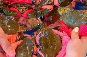 [🆕🇻🇳] Buffet ĐÀ LẠT Lẩu – Nướng Hải Sản 179 Chi Nhánh Quận 2 🍔 Top1Food  🍜  Bàn thức ăn này chỉ #189k
Dùng thả ga Buffet Lẩu Nướng hải sản thả ga ko giới hạn
Đi từ 2 vé tặng lẩu ăn kèm. #Miễn_phí trang trí tiệc cơ bảnMời c , shares-0✔️ , likes-1❤️️ , date-2025-02-13 01:06:23🇻🇳🇻🇳🇻🇳📰🆕