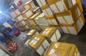 [🆕🇻🇳] Tôm Hùm Việt – Chuyên cung cấp sỉ tôm hùm cho các vựa, nhà hàng khách sạn 🍔 Top1Food  🍜  Xuất Đơn TÔM HÙM BÔNG SỐNG Về Với Sỉ Yêu Thương
Hàng Siêu Chất lượng, Đạt Tiêu Chuẩn XK
Liên hệ: 0865653965Kết Nối Giao Hàng Trên Toàn Quốc
, shares-0✔️ , likes-5❤️️ , date-2025-02-14 21:28:30🇻🇳🇻🇳🇻🇳📰🆕