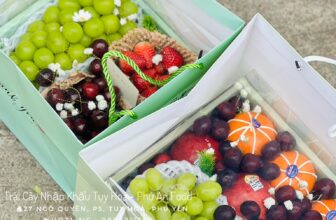 [🆕🇻🇳] Trái Cây Nhập Khẩu Tuy Hoà-Phú An Food 🍔 Top1Food  🍜 Bão đơn mùa Valentine của nhà Phú An Food
Cửa hàng chân thành cảm ơn quý khách hàng vẫn luôn tin tưởng và lựa chọn shop
Chúc Cả nhà một ngày Valetine thật , shares-0✔️ , likes-1❤️️ , date-2025-02-15 04:14:49🇻🇳🇻🇳🇻🇳📰🆕