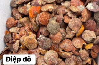 [🆕🇻🇳] TÔM HÙM KHÁNH HOÀ – Chuyên sỉ lẻ, tôm hùm sống, tôm hùm ngộp, tôm hùm cấp đông, số lượng lớn 🍔 Top1Food  🍜 Dương Cồ 3/7con Giá #260
Dương Bi 18/25c. Giá #145
Sò Điệp Đỏ đẹp.  Giá 38
Giá giao tại quán
Đc 117 Lý Nam đế. Nha Trang
LH: 0366508943
, shares-0✔️ , likes-9❤️️ , date-2025-02-19 19:23:08🇻🇳🇻🇳🇻🇳📰🆕