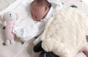 [🆕🇻🇳]  Ken Momcare – Shop Mẹ và Bé – TRỌN GÓI ĐI SINH 😎❤️️⭐️ GỐI CHẶN CỪU #Goodnightbaby . Zá nhà Ken rẻ nhất sànHÃNG GOOD NIGHT BABY shop Ken có đủ
Gối chặn cừu có túi thảo dược
Gối cừu chữ C ấm áp như vòng tay m , shares-0✔️ , likes-4❤️️ , date-2025-02-17 04:12:55🇻🇳🇻🇳🇻🇳📰🆕