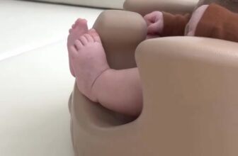 [🆕🇻🇳] Dailybebe-store -Baby & Mom – Đồ dùng mẹ và bé – đồ chơi cao cấp Korea , Us/Uk Chính Hãng🧑‍🧒❤️️👶⭐️  GHẾ ĐA NĂNG #KOALAVề thiết kế: có 1 thân ghế, 1 khay ăn tháo lắp, 1 bệ xoay 4 bánh xe di chuyển, 1 tay cầm có thể xoay tròn trước sau đi kèm với 1  , shares-0✔️ , likes-2❤️️ , date-2025-02-15 19:56:09🇻🇳🇻🇳🇻🇳📰🆕