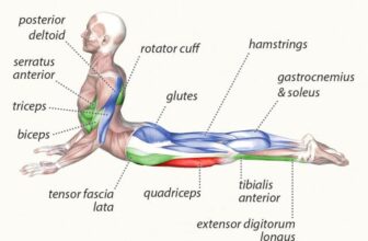 [🆕🇻🇳] Ruby Yoga Và Dance 🧘 Top1Yoga 🤸🏻‍♀️ Yoga có thể giúp phòng ngừa và hỗ trợ điều trị thoát vị đĩa đệm bằng cách tăng cường sức mạnh cơ lưng, cải thiện tư thế và giảm áp lực lên cột sống.Một s , shares-0✔️ , likes-5❤️️ , date-2025-02-15 23:10:32🇻🇳🇻🇳🇻🇳📰🆕