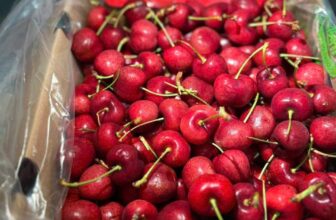 [🆕🇻🇳] Hoa Quả 4Mùa – Cửa hàng rau quả 🍔 Top1Food  🍜  Sập giá  Cherry là có thật ce ơiiii#Cherry  Size VIP khủng long 3Jchỉ #299k/ kgE bao hàng tươi rói , cứng đanh , cuống khoẻ ree đã test,  Cherr , shares-0✔️ , likes-0❤️️ , date-2025-02-16 01:57:27🇻🇳🇻🇳🇻🇳📰🆕