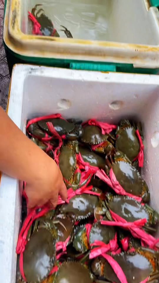 [🆕🇻🇳] Ốc Kênh Tẻ – Chuyên phục vụ các loại nghêu, sò, ốc tươi ngon các loại 🍔 Top1Food  🍜 𝙏𝙖̣𝙞 𝙨𝙖𝙤 𝙘𝙤̛𝙢 𝙘𝙪𝙖 𝙡𝙖̀ 𝙢𝙤́𝙣 𝙢𝙖̆́𝙘 𝙣𝙝𝙖̂́𝙩 𝙩𝙧𝙤𝙣𝙜 𝙢𝙚𝙣𝙪 𝙘𝙪̉𝙖 𝙦𝙪𝙖́𝙣 ? 
#1 Cua sống và được quán tuyển chọn từ những con cua ngon nhất , đầy thịt nhất
#2 Khi có k , shares-0✔️ , likes-3❤️️ , date-2025-02-17 16:37:27🇻🇳🇻🇳🇻🇳📰🆕