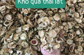 [🆕🇻🇳] LÒ MỨT DỪA – Mứt dừa non 🍔 Top1Food  🍜 MƯỚP ĐẮNG RỪNG (Khổ Qua rừng) mới hái phơi khô thơm phứcTác dụng trị bệnh
Tiểu_đường tuýp II
Bệnh cao_huyết_áp.
Bệnh Gout (thống phong)
Bệnh Gan nhiễm , shares-0✔️ , likes-0❤️️ , date-2025-02-16 23:58:55🇻🇳🇻🇳🇻🇳📰🆕