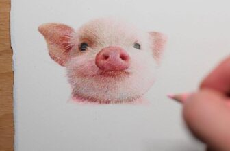 [???] Trạm Vẽ painting – Sunny art ? Top1Designs ✨  Bài vẽ động vật dễ thương bằng chì màu
, shares-20✔️ , likes-97❤️️ , date-2025-02-15 00:42:56????????