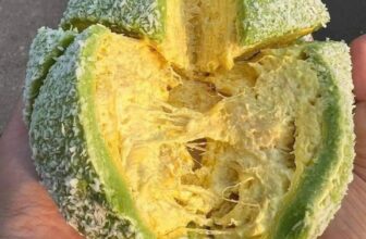 [🆕🇻🇳] Bánh Mì Phô Mai Giá Sĩ 🍔 Top1Food  🍜  𝐌𝐔𝐀 𝐋Ẻ 𝐕Ớ𝐈 𝐆𝐈Á 𝐒Ĩ 𝐂𝐑𝐄𝐏𝐄 𝐒Ầ𝐔 𝐀𝐔𝐓𝐇 𝐍𝐇𝐈Ề𝐔 𝐒Ầ𝐔 𝐂𝐇Ỉ #100𝐊 𝐯à 𝐦𝐞𝐧𝐮 𝐡ơ𝐧 𝟑𝟎 𝐥𝐨ạ𝐢 𝐛á𝐧𝐡
𝘾𝙤𝙢𝙗𝙤 #150k :
– 𝘾𝙧𝙚𝙥𝙚 𝙨ầ𝙪 𝙧𝙞ê𝙣𝙜 𝙖𝙪𝙩𝙝 ổ 14𝙘𝙢
, shares-0✔️ , likes-5❤️️ , date-2025-02-19 04:01:59🇻🇳🇻🇳🇻🇳📰🆕