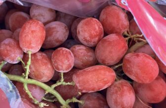 [🆕🇻🇳] Trái Cây Nhập Khẩu Đường Bay – Cửa hàng rau quả 🍔 Top1Food  🍜 Nho đỏ Úc tươi giòn ngọt lịm rất ngon- cuốn xanh tươi #150k/kgThùng 9kg 1150k…Đây là vị bên em ăn thử và miêu tả. Khuyến khích khách hàng đến shop  , shares-0✔️ , likes-1❤️️ , date-2025-02-18 18:08:39🇻🇳🇻🇳🇻🇳📰🆕