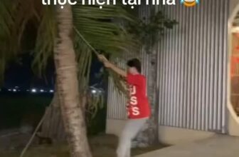 [🆕🇻🇳] 24h – Bệnh Viện Điện Thoại, Laptop 👨‍🔧 Top1Fix 🧰  Tuổi thơ ai cũng đã từng ~ , shares-0✔️ , likes-14❤️️ , date-2025-02-23 05:00:58🇻🇳🇻🇳🇻🇳📰🆕