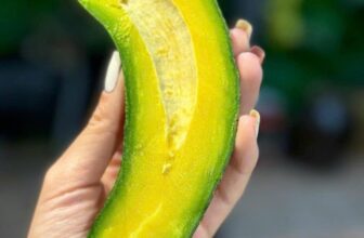 [🆕🇻🇳] Nhà AnAn – chuyên cung cấp rau củ quả hữu cơ, sạch, rõ nguồn gốc từ Đà Lạt 🍔 Top1Food  🍜 Í, mai có bơ dưa leo khách ơi!!!
Loại bơ ngon nhất trong các loại bơ vì dẻo nẹo, béo ngậy và hạt rất nhỏ, bơ canh tác chuyển đổi HC ạ
Giá mai hạ chút rồi , shares-0✔️ , likes-3❤️️ , date-2025-02-18 04:13:16🇻🇳🇻🇳🇻🇳📰🆕