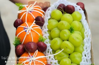 [🆕🇻🇳] Trái Cây Nhập Khẩu Tuy Hoà-Phú An Food 🍔 Top1Food  🍜 Một ngày bận rộn nhà Phú An Food
PHÚ AN FOOD (Trái Cây NK Tuy Hoà)
Địa chỉ: Số 27 Ngô Quyền, P5, TP Tuy Hòa, Phú Yên. ( Cách cổng VH Ngô Quyền 200m )
Ho , shares-0✔️ , likes-1❤️️ , date-2025-02-19 02:29:30🇻🇳🇻🇳🇻🇳📰🆕