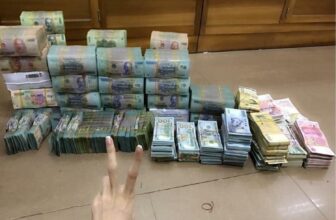 [🆕🇻🇳] Xưởng May Bánh Bao Kids – Cửa hàng quần áo sơ sinh & trẻ em 🧑‍🧒❤️️👶⭐️  Nhả vía may mắn
Ngày qua sóng gió đủ rồi
Hôm nay bình lặng hãy ngồi ngắm mây
Nghĩ rằng ta lạc chốn đây
Dạo chơi tận hưởng phút giây thanh bình.
Ai ngờ t , shares-0✔️ , likes-0❤️️ , date-2025-02-22 17:00:41🇻🇳🇻🇳🇻🇳📰🆕