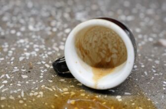 [☕️🇻🇳] ACID8 Specialty Coffee 🥤 Top1Coffee ☕️ Khi nhìn vào các bài đăng tuyển dụng, chúng ta thường thấy những lời mời gọi hấp dẫn như: “Môi trường làm việc vui vẻ, năng động , shares-0✔️ , likes-40❤️️ , date-2025-02-20 05:03:13🇻🇳🇻🇳🇻🇳📰🆕