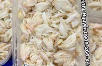 [🆕🇻🇳] ANH THƯ FOOD – Thịt Càng Cua / Thịt Ghẹ -Tôm Tích 🍔 Top1Food  🍜 .        Thịt Cua Tươi – Hàng Tươi Mới Mỗi Ngày
.    Tuyệt Đối Không Bán Hàng Đông Lạnh
Khách Lên Đơn Bên Em Mới Cho Thợ Tách Càng Lấy Thịt . Hàng Tuyệt  , shares-0✔️ , likes-0❤️️ , date-2025-02-23 22:27:19🇻🇳🇻🇳🇻🇳📰🆕