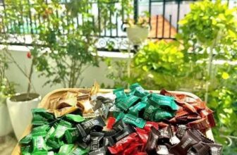 [🆕🇻🇳] Tổng Kho Ăn Vặt Miền Trung – chuyên các món ăn vặt thịnh hành nhất hiện nay 🍔 Top1Food  🍜 SALE SALE 100K/ 13 GÓI ĂN VẶT
Chương trình ưu đãi có hạn nhé khách yêu
Combo 100k/12 gói freeship và được tặng thêm 1 gói ạ
Nhận hàng kiểm tra thanh , shares-0✔️ , likes-4❤️️ , date-2025-02-23 00:39:19🇻🇳🇻🇳🇻🇳📰🆕