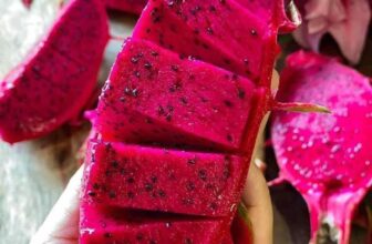 [🆕🇻🇳] THUỶ THUỶ FOOD – Trái Cây Sạch / Đặc Sản Đà Lạt 🍔 Top1Food  🍜  , shares-0✔️ , likes-0❤️️ , date-🇻🇳🇻🇳🇻🇳📰🆕