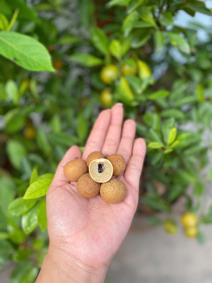 [🆕🇻🇳]  AreaKids – Chuyên hàng nội địa Hàn dành cho Mẹ và Bé 🧑‍🧒❤️️👶⭐️   𝐂𝐡𝐚̆́𝐧 𝐠𝐢𝐮̛𝐨̛̀𝐧𝐠 𝐔𝐦𝐨𝐨 đ𝐚̃ 𝐪𝐮𝐚́ 𝐮𝐲 𝐭𝐢́𝐧 𝐯𝐞̂̀ 𝐜𝐡𝐚̂́𝐭 𝐥𝐮̛𝐨̛̣𝐧𝐠Tích hợp khóa trẻ em siêu an toàn. Chỉ với một thao tác vặn chốt đơn giản, mẹ đã có thể k , shares-0✔️ , likes-1❤️️ , date-2025-02-18 16:56:48🇻🇳🇻🇳🇻🇳📰🆕