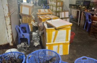 [🆕🇻🇳] Tôm Hùm Việt – Chuyên cung cấp sỉ tôm hùm cho các vựa, nhà hàng khách sạn 🍔 Top1Food  🍜 Mới tết ra mà khách lên đơn kịch liệt
Khách mới cũng hợp vía lắm luôn ạ
Khoảnh khắc hàng đi mỗi ngày
SỈ từ 10kg nha cả nhà ơi
Liên hệ đặt hàng: 086565 , shares-0✔️ , likes-4❤️️ , date-2025-02-17 23:16:59🇻🇳🇻🇳🇻🇳📰🆕