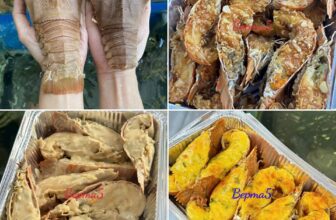 [🆕🇻🇳] Bếp Má 5 Online – Thực phẩm & Đồ uống 🍔 Top1Food  🍜  Núc na núc ních, tôm mủ ni đủ 2 size mấy ngày rồi mới có hàng lại đây ạThớ thịt dai, ngọt, chắc mềm
Phần 500gr – size 5 con #290k / size 3 con #450k  , shares-0✔️ , likes-4❤️️ , date-2025-02-22 17:11:36🇻🇳🇻🇳🇻🇳📰🆕