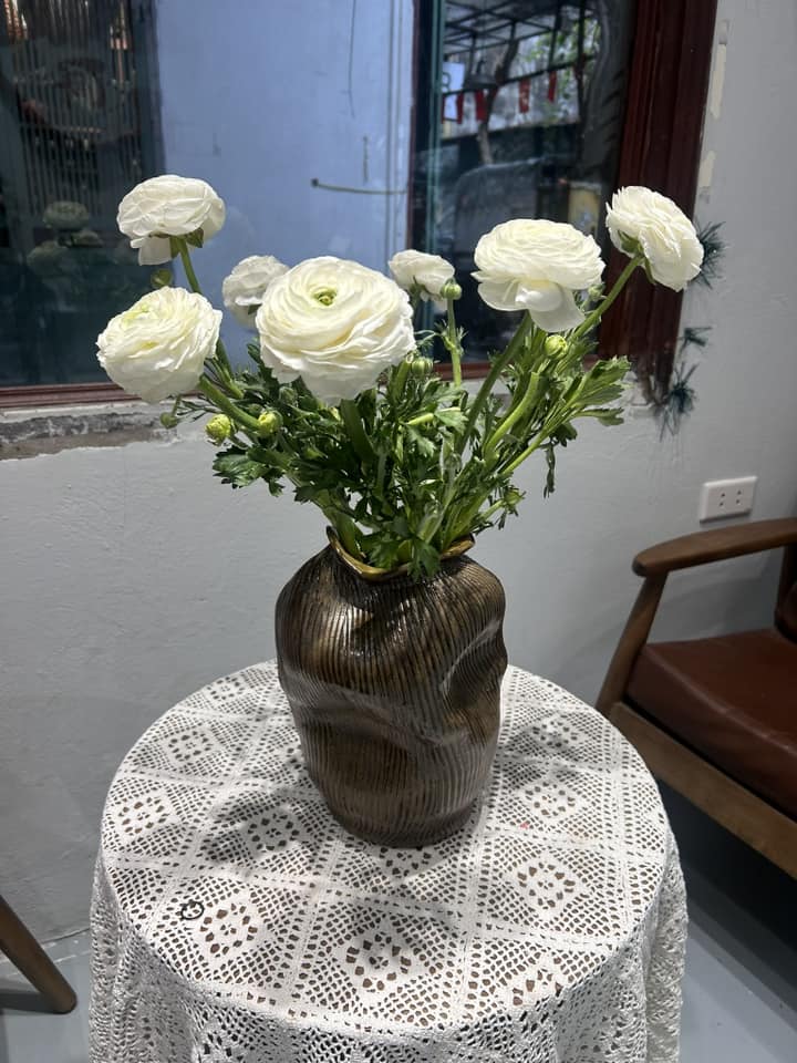 [🆕🇻🇳] Lana Lee Shop 👕 Top1Fashion 👗   , shares-0✔️ , likes-2❤️️ , date-2025-02-20 07:05:19🇻🇳🇻🇳🇻🇳📰🆕