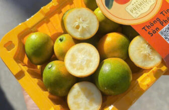 [🆕🇻🇳] F5 Fruit Shop Hồ Chí Minh-hệ thống bán lẻ Trái cây Nhập khẩu cao cấp 🍔 Top1Food  🍜 𝐊𝐢𝐦 𝐪𝐮𝐚̂́𝐭 Đ𝐚̀𝐢 𝐋𝐨𝐚𝐧 (𝐓𝐚̆́𝐜 đ𝐮̛𝐨̛̀𝐧𝐠 Đ𝐚̀𝐢 𝐥𝐨𝐚𝐧)
Giá bán: 55.000đ/Hộp 400Gram
Loại quả này có hình bầu dục, khi còn sống vỏ màu xanh và khi chín chuyển san , shares-1✔️ , likes-0❤️️ , date-2025-02-18 23:00:01🇻🇳🇻🇳🇻🇳📰🆕