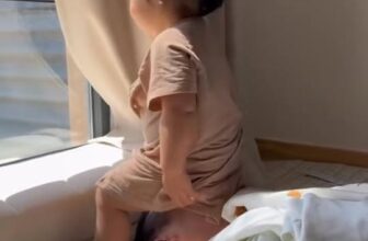 [🆕🇻🇳] Trang Linh Shop – Chuyên sơ sinh trọn gói 🧑‍🧒❤️️👶⭐️ Cục zàng của bố đó nạ  , shares-0✔️ , likes-3❤️️ , date-2025-02-20 22:02:34🇻🇳🇻🇳🇻🇳📰🆕