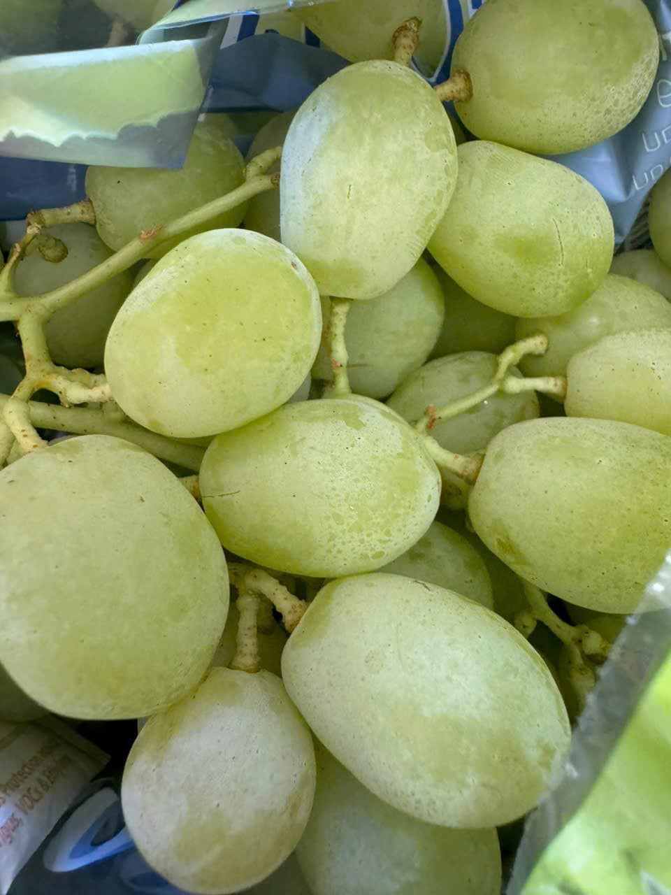 [🆕🇻🇳] Trái Cây Nhập Khẩu Đường Bay – Cửa hàng rau quả 🍔 Top1Food  🍜 Nho xanh Úc ngọt như mía – ngon lắm luôn ạ #230k/kg

Nho xanh Úc hàng bay- tươi giòn ngọt rất rất ngon- cuốn xanh như rau muống.

 #1950k/thùng khoản 9kg.  , shares-0✔️ , likes-3❤️️ , date-2025-02-22 14:57:52🇻🇳🇻🇳🇻🇳📰🆕