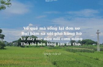 [🆕🇻🇳] Mê Đọc Sách – Trang sách mở ra, trời xa xích lại  📚 Top1Book 📖 Về quê mà chơi với ruộng đồng
Với gió ru chiều dưới bến sông
Với nắng vàng mơ trên mái rạ
Với luống hoa tươi bướm vẽ vòngVề quê mà sống lại đơn sơ
B , shares-0✔️ , likes-35❤️️ , date-2025-02-22 03:11:32🇻🇳🇻🇳🇻🇳📰🆕📚