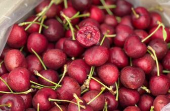 [🆕🇻🇳] Hoa Quả 4Mùa – Cửa hàng rau quả 🍔 Top1Food  🍜 Tầm này cuối mùa có cây #Cherry siêu xịn giòn ngọt lịm size khủng lOng#Cherry chile e về 20 thùng siêu ngọt zá siêu sockgiòn ngọt
đỏ đẹp
cuống xanh , shares-0✔️ , likes-0❤️️ , date-2025-02-23 03:55:44🇻🇳🇻🇳🇻🇳📰🆕