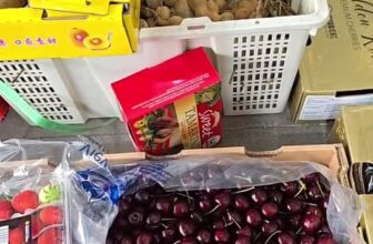 [🆕🇻🇳] Nông Sản Bảo Lâm HCM – Chợ nông sản 🍔 Top1Food  🍜 Chủ nhật zui zui , shares-0✔️ , likes-63❤️️ , date-2025-02-23 19:12:23🇻🇳🇻🇳🇻🇳📰🆕