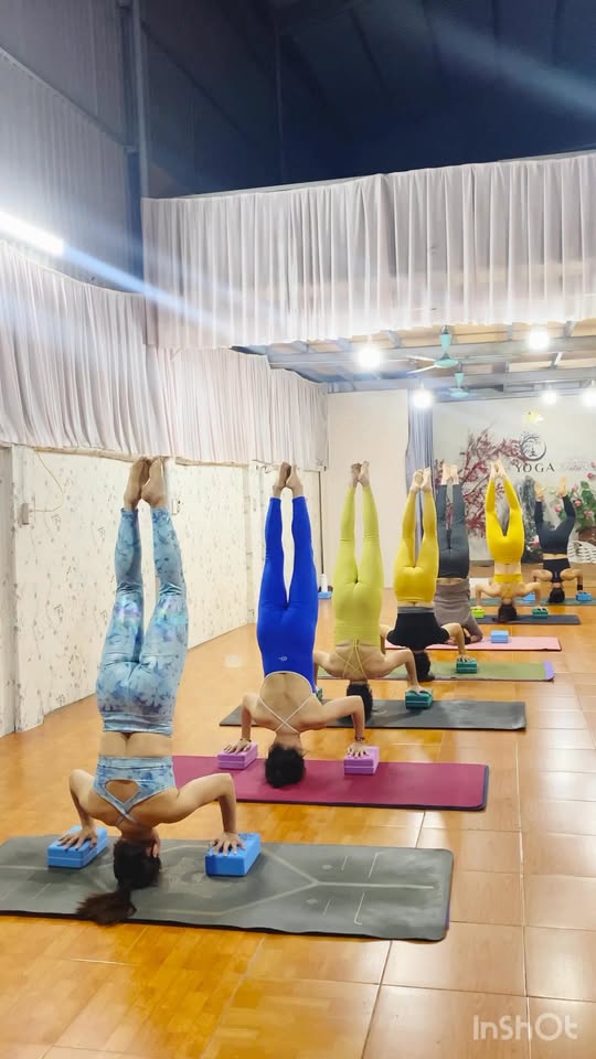 [🆕🇻🇳] Yoga Ngọc Ánh 🧘 Top1Yoga 🧘 Chuỗi thăng bằng siêu khỏe đẹp cùng các chị lớp yoga Tiền Phong team Ngọc Ánh  , shares-0✔️ , likes-65❤️️ , date-2025-02-22 15:17:15🇻🇳🇻🇳🇻🇳📰🆕