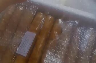 [🆕🇻🇳] Sỉ và lẻ bánh tráng cuộn tép chà bông  🍔 Top1Food  🍜 Từ tết đến giờ trộm vía các chị buôn bán đắt hàng kéo shop theo luôn nên đến giờ mới ngoi lên đăng dc cái video,làm hàng xong là xe đến chở luôn ko kịp qua , shares-0✔️ , likes-2❤️️ , date-2025-02-23 14:45:48🇻🇳🇻🇳🇻🇳📰🆕