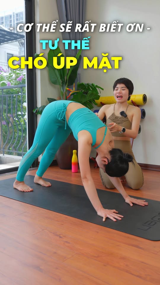 [🆕🇻🇳] Hoàng Uyên Yoga 🧘 Top1Yoga 🤸🏻‍♀️ Yoga cho Người mới bắt đầu – Chó Úp Mặt #hoanguyenyoga #yogatainha #yogatrilieu , shares-0✔️ , likes-115❤️️ , date-2025-02-23 03:00:32🇻🇳🇻🇳🇻🇳📰🆕