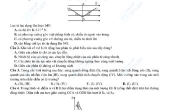[🆕🇻🇳] Thầy Vũ Ngọc Anh – chuyên luyện thi Vật Lý lớp 10,11,12 📚 Top1Learn 📕 File đẹp – Đề thi thử tốt nghiệp THPT 2025 – Sở Bắc Giang – Môn Vật Lí – Lần 1
Vừa mới thi chiều nay
Tải đề =  + (.) nhẹCác em TẢI ĐỀ về trước, Thầy sẽ , shares-116✔️ , likes-741❤️️ , date-2025-02-21 02:34:06🇻🇳🇻🇳🇻🇳📰🆕