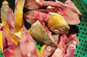 [🆕🇻🇳] Siêu Thị Hàng Tiêu Dùng – Bếp hương béo 🍔 Top1Food  🍜 Mai e có CÁ CHIM VÀNGCá chim vàng tươi được xếp trong 4 loại mỹ ngư của biển cả ạ , từ hương vị lẫn chất lượng Cá chưa bao giờ làm người dùng phải thất , shares-0✔️ , likes-0❤️️ , date-2025-02-24 02:46:21🇻🇳🇻🇳🇻🇳📰🆕