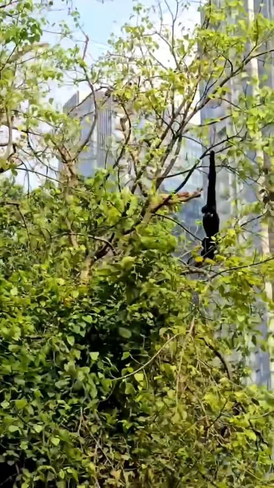 [🆕🇻🇳]  BỐP BỰ – Chuyên quần áo, giày dép, phụ kiện trẻ em cao cấp 🧑‍🧒❤️️👶⭐️ Quần MFD ạHàng có sẵn
Size 110-160
Cho bé 20/58,60kg
, shares-0✔️ , likes-4❤️️ , date-2025-02-25 18:35:39🇻🇳🇻🇳🇻🇳📰🆕