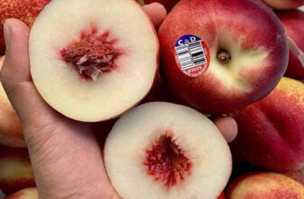 [🆕🇻🇳] F5 Fruit Shop Hồ Chí Minh-hệ thống bán lẻ Trái cây Nhập khẩu cao cấp 🍔 Top1Food  🍜   𝐒𝐢𝐞̂𝐮 𝐏𝐡𝐚̂̉𝐦 Đ𝐚̀𝐨 𝐂𝐡𝐢𝐥𝐞
Giá bán: 95.000/KG
Quả giòn rụm, ngọt rất rất ngon ạ
Trái cứng đanh, siêu giòn ngọt
Hàng sẵn, ACE lên đơn ủng hộ em nhé.
— , shares-1✔️ , likes-1❤️️ , date-2025-02-26 21:30:02🇻🇳🇻🇳🇻🇳📰🆕