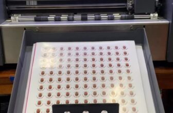 [🆕🇻🇳] In nhanh Bến Lức – CHUYÊN IN ẤN – THIẾT KẾ – QUẢNG CÁO 🎨 Top1Designs ✨  #benlucsticker #innhanhbenluc #innhanhlongan #intemnhanlongan #longansticker #intemnhanbenluc #instickerbenluc , shares-0✔️ , likes-0❤️️ , date-2025-02-22 02:56:15🇻🇳🇻🇳🇻🇳📰🆕