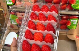 [🆕🇻🇳] Chio shop – Cửa hàng rau quả 🍔 Top1Food  🍜 Dâu Golden Em về sẵn kho ạ !
Bên Hàn đang nắng dần lên, nên dâu đỏ rực rỡ ạh !200k/hộp 330gram
780k/thùng 4 hộp
, shares-0✔️ , likes-1❤️️ , date-2025-02-22 22:26:21🇻🇳🇻🇳🇻🇳📰🆕