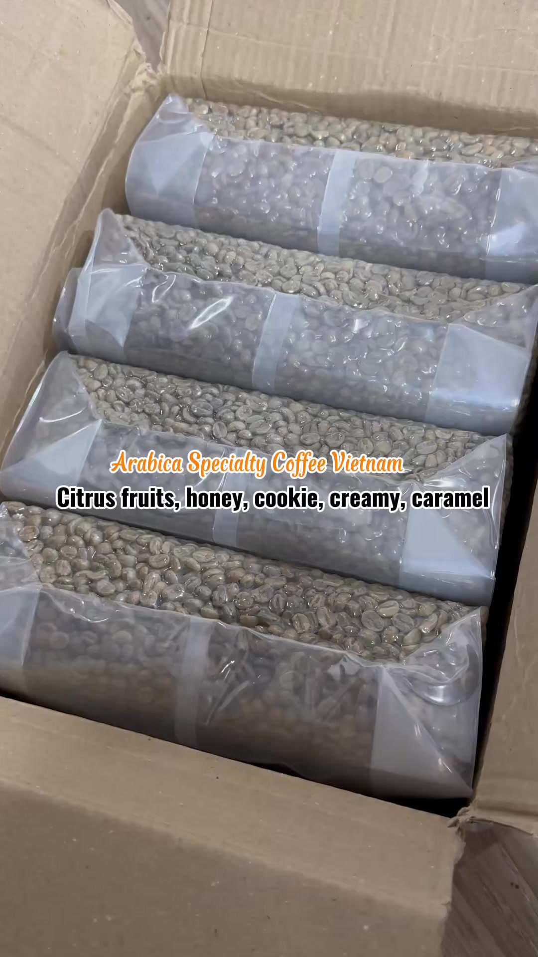 [☕️🇻🇳] Cà phê Đồng Xanh – Greenfields Coffee 🥤 Top1Coffee ☕️ Arabica Specialty Coffee mới về số lượng nhiều  , shares-0✔️ , likes-0❤️️ , date-2025-02-26 00:33:07🇻🇳🇻🇳🇻🇳📰🆕