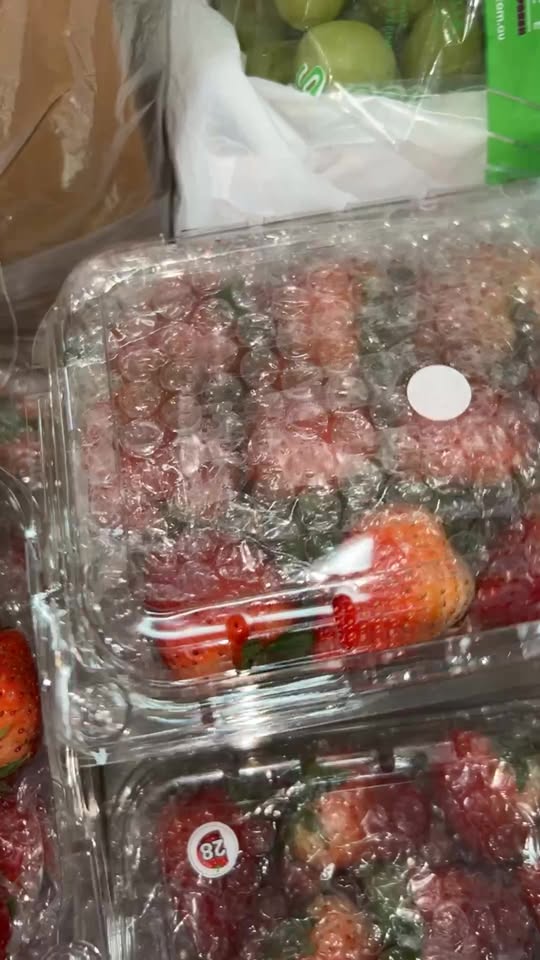 [🆕🇻🇳] Emily Jane – Váy đầm công chúa thiết kế cho bé 🧑‍🧒❤️️👶⭐️ Chị em mình vào ngắm váy xinh cùng #EmilyJane nhé , shares-0✔️ , likes-2❤️️ , date-2025-02-24 16:07:07🇻🇳🇻🇳🇻🇳📰🆕