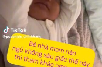 [🆕🇻🇳] Shop Bố Soup – Nơi mua sắm lý tưởng cho mẹ và bé 🧑‍🧒❤️️👶⭐️ Sáp ấm pozokids #st , shares-0✔️ , likes-0❤️️ , date-2025-02-25 01:24:49🇻🇳🇻🇳🇻🇳📰🆕