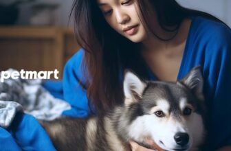 [🆕🇻🇳] Pet Mart – Cửa Hàng Thú Cưng 🐶🦜 Top1Pets 🐱🐠 Chó bị cảm lạnh không chỉ là một vấn đề sức khỏe phổ biến. Không chỉ con người, mà cả các loài thú cảnh như chó, mèo cũng phải đối mặt với nguy cơ. Dù là g , shares-0✔️ , likes-4❤️️ , date-2025-03-21 00:55:59🐶🐱🇻🇳🇻🇳🇻🇳📰🆕