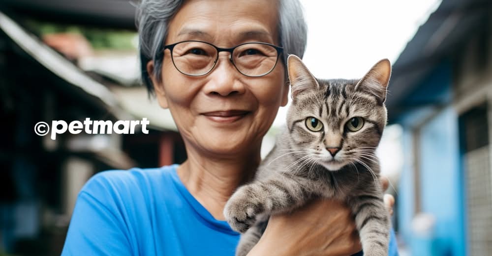 [???]  BABY SHOP – thời trang trẻ em  ?‍?❤️️?⭐️ QUẦN JEANS BÉ GÁI
Chất jeans mềm đẹp, from xuông năng động, sang chảnh
Size:120-170(25-55kg)
Giá:290.000
 , shares-1✔️ , likes-3❤️️ , date-2025-03-18 16:47:35????????